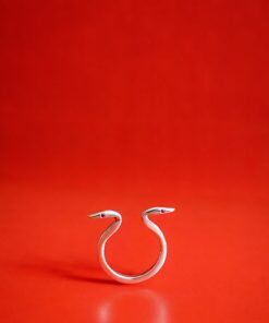 Alternative view of Anel Amphis