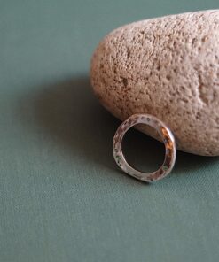 Alternative view of Anel Orbis