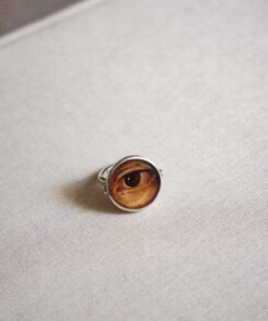 Alternative view of Anel Speculum