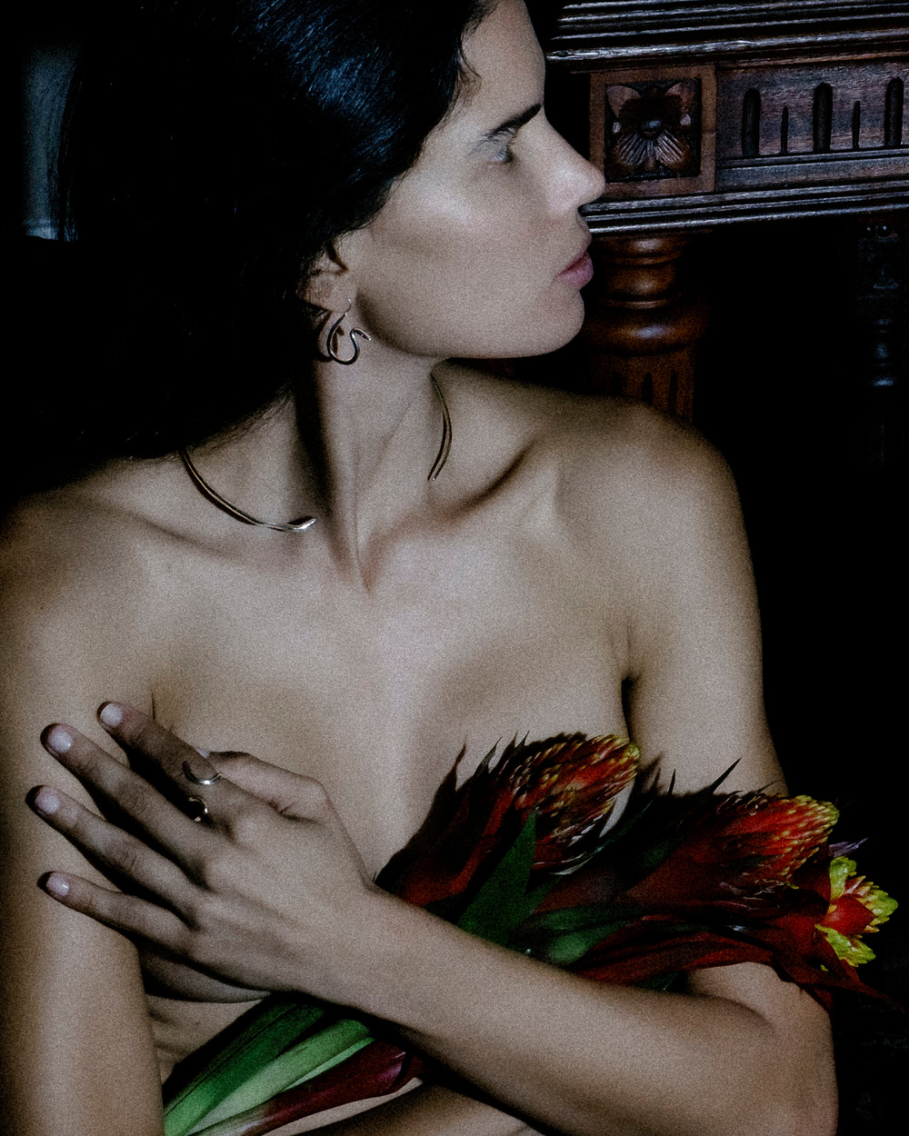 Anel Ofíon